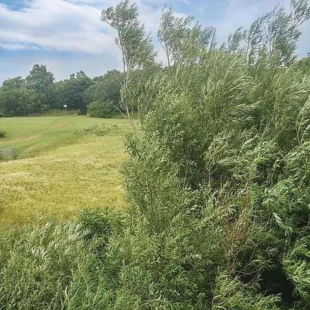 2 Bedroom Beautiful In Hébergement de vacances Nordstrand